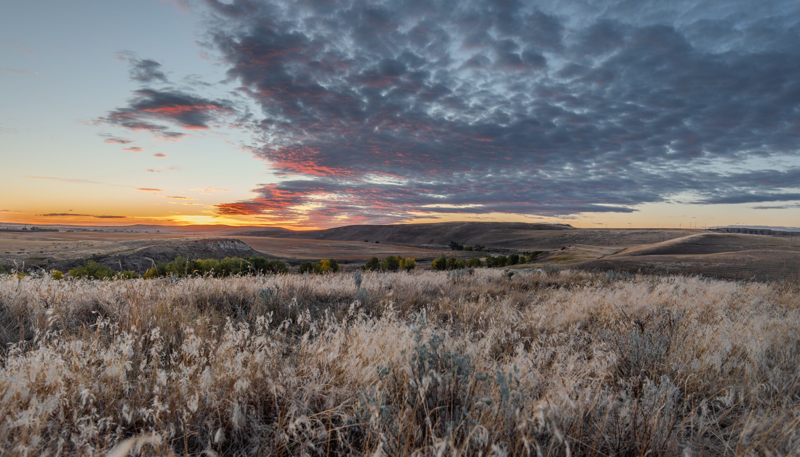 Navajo Transitional Energy Company Partners with UW School of Energy Resources to Power Wyoming’s Energy Future